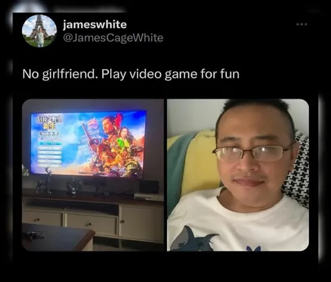 No Girlfriend, Just Video Games