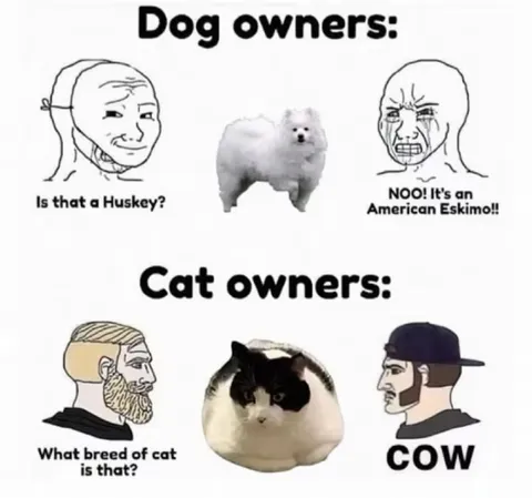 Dog Owners Versus Cat Owners