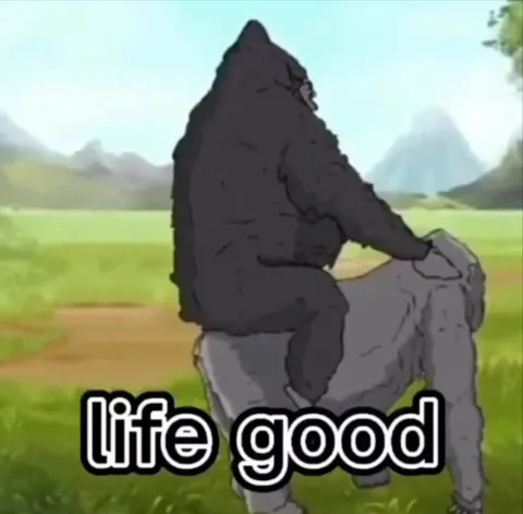 Gorilla kills wife regret