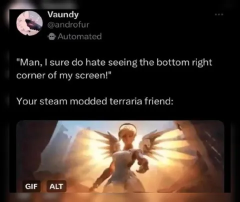 Modded Terraria Friend Appears