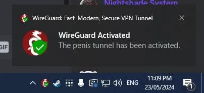 WireGuard Penis Tunnel Activated