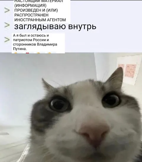 Заглядываю внутрь