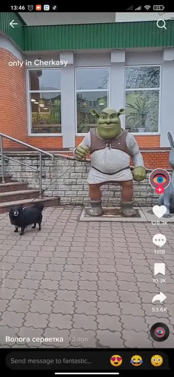 Only in Cherkasy Shrek