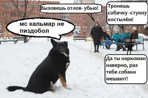 Мс Кальмар не пиздобол