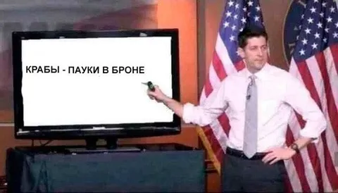 Крабы — пауки в броне