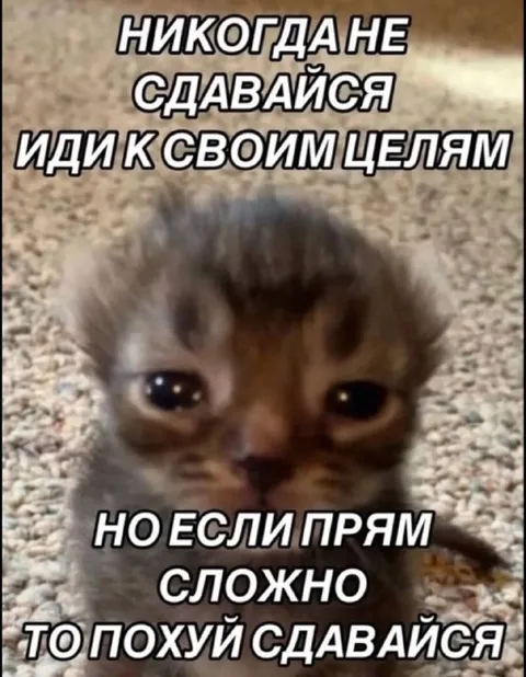 Никогда не сдавайся, но если сложно