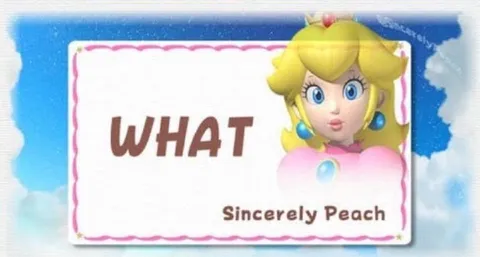 Princess Peach Says What