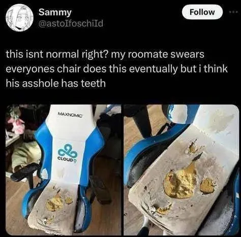 Roommate's Chair Has Teeth
