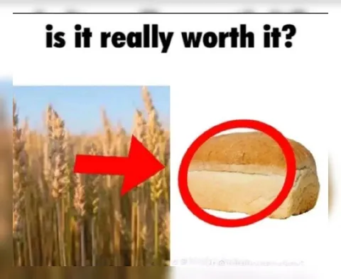 Is It Really Worth It?