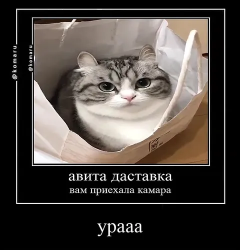Камара приехала в доставке