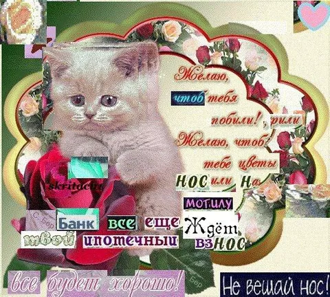 Желаю, чтоб тебя любили