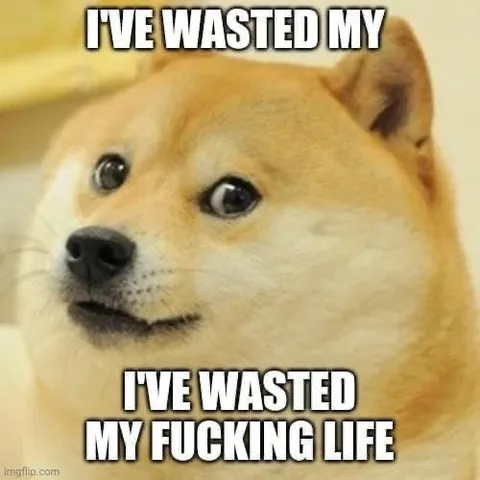 Doge Wasted My Life