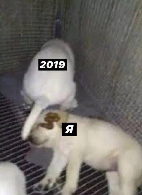2019 наступил и я