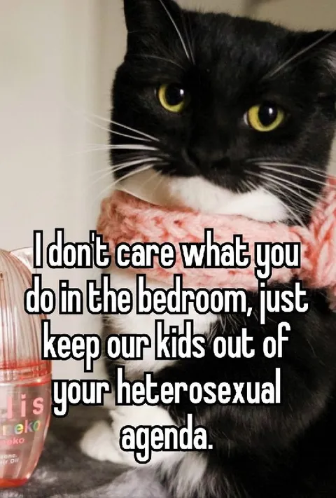 Heterosexual Agenda Cat