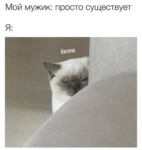 Мой мужик просто существует