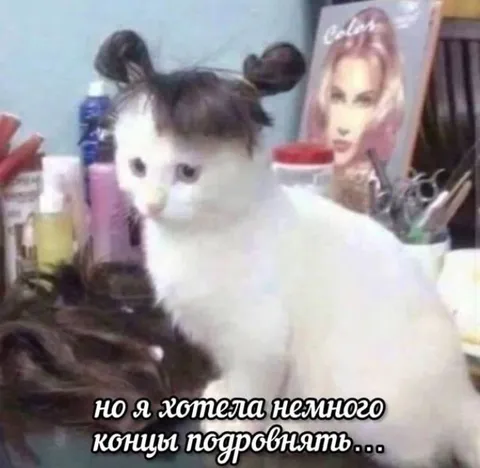 Кот хотела немного концы подровнять