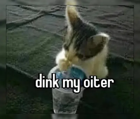 Rabbit Says Dink My Oilter