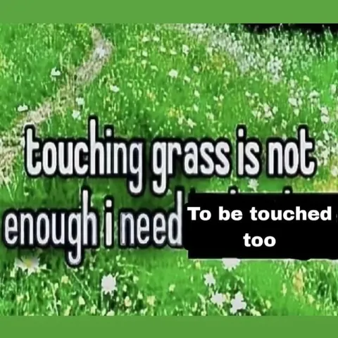 Touching Grass Isn’t Enough