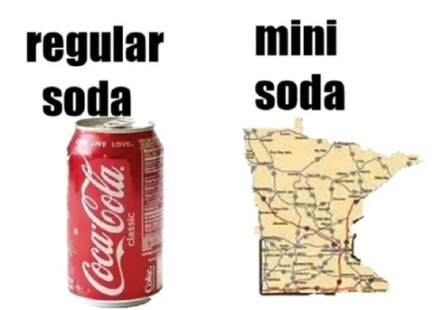 Regular Soda vs Mini Soda