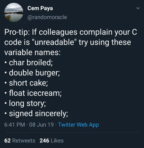 Unreadable C Variable Names