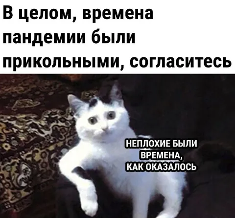 Пандемия была прикольной