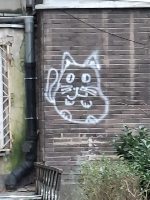 Кот на кирпичной стене