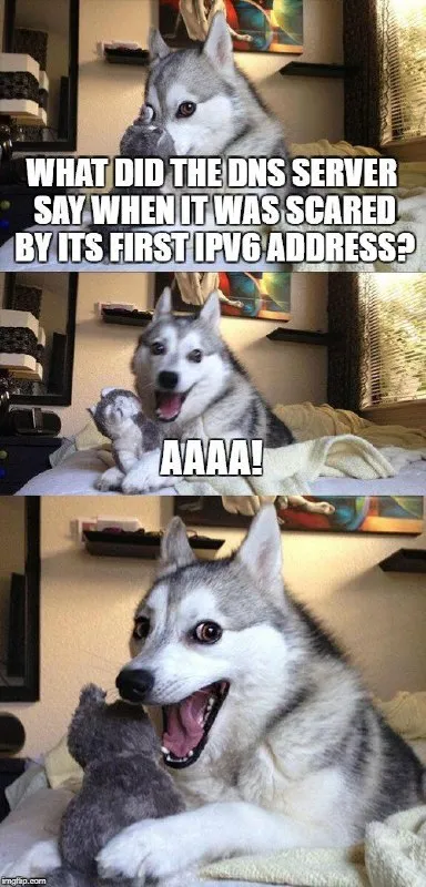 DNS Server Sees First IPv6 Address