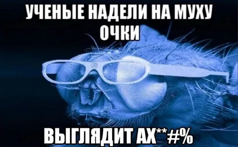 Учёные надели мухе очки