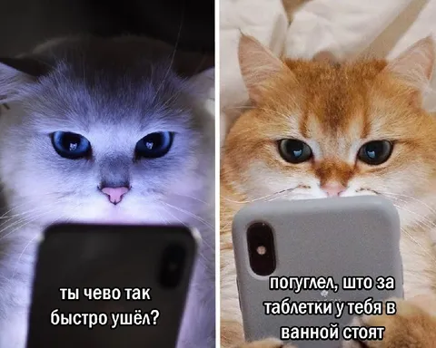 Погугел про таблетки в ванной