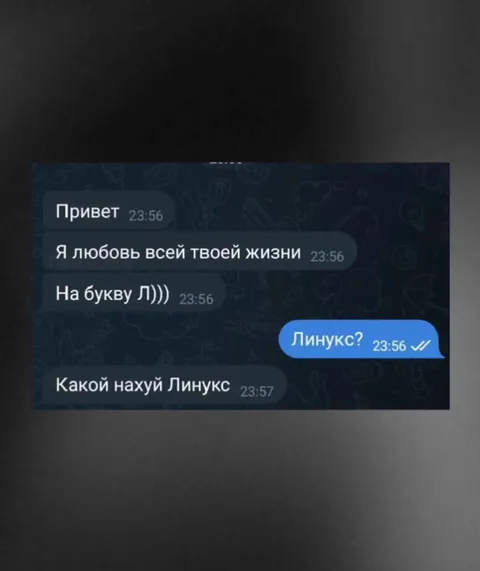Какой нахуй Линукс