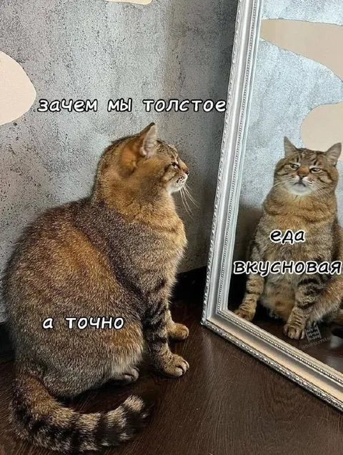 Толстое — это вкусновая еда