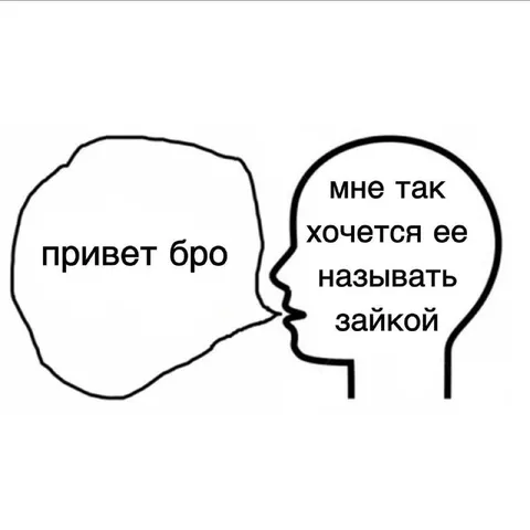 Привет бро, зайка