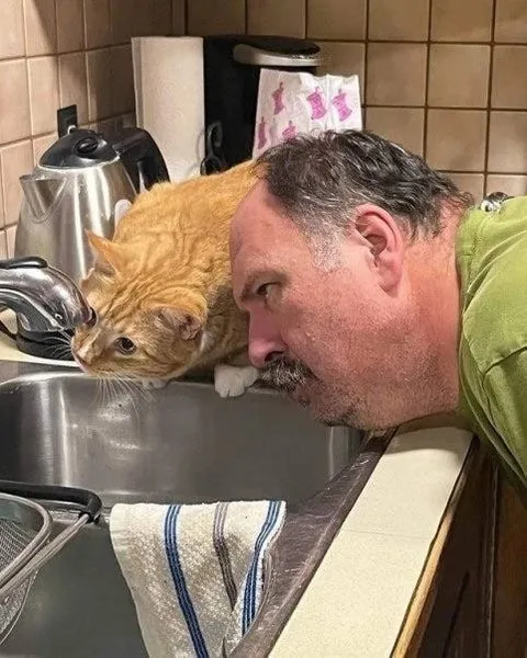 Мужчина и кот у крана