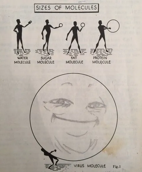 Sizes of Molecules Virus Joke