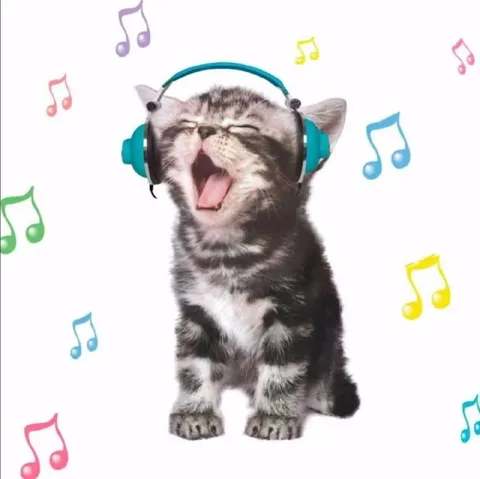 Кот поёт в наушниках