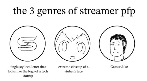 The 3 Genres of Streamer PFP