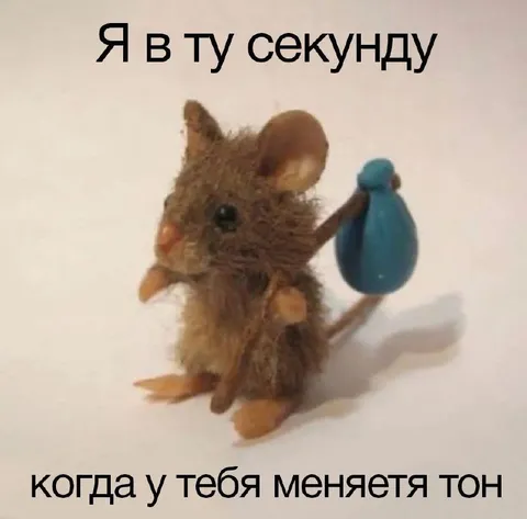 Когда меняется тон