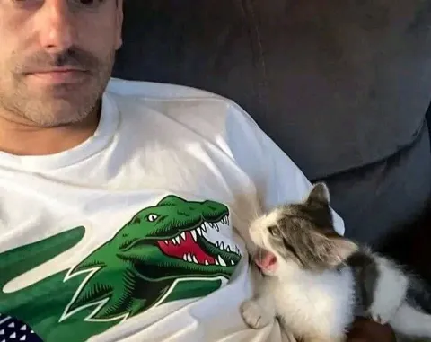 Котёнок кусает крокодила
