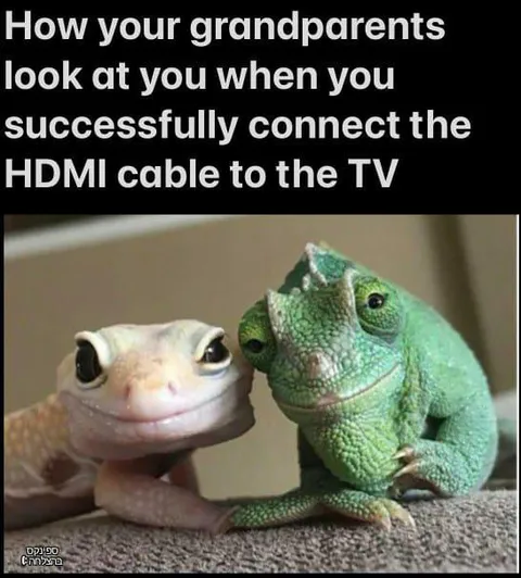 Grandparents Watch HDMI Success