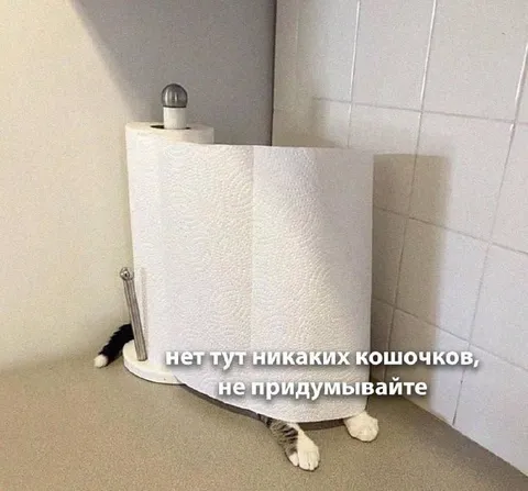 Кот прячется за полотенцем