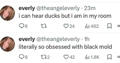 Ducks and Black Mold Obsession