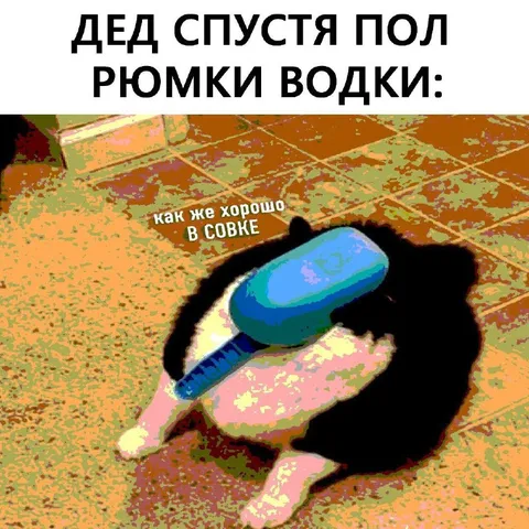 Дед после полрюмки водки
