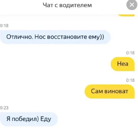Чат с водителем и носом