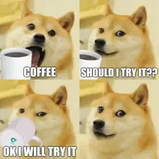 Doge Tries Coffee