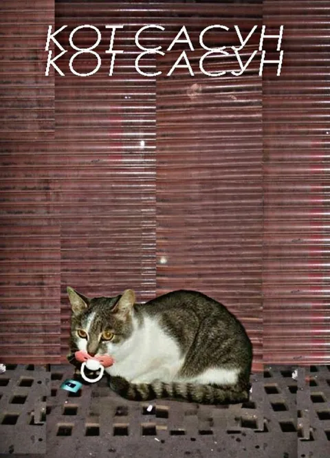Кот сасун с соской