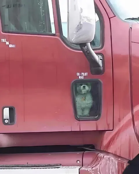 Dog Co-Pilot Max