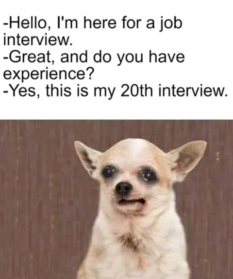 20th Job Interview