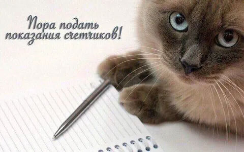 Пора подать показания счетчиков