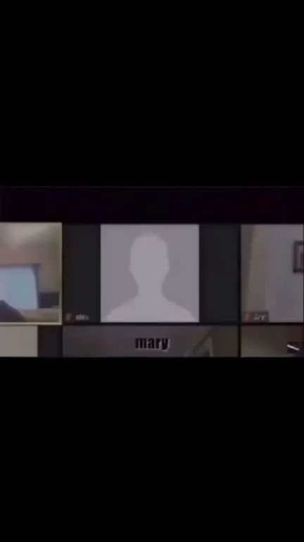 Mary Suddenly Appears on Zoom