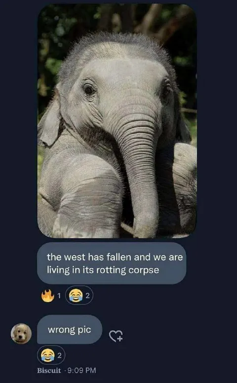 Wrong Picture, Wrong Apocalypse